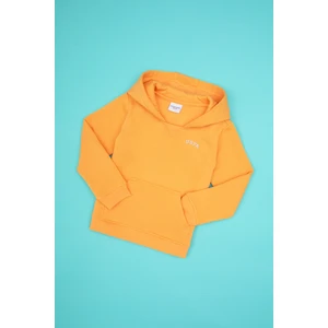 U.S. Polo Assn. Erkek Çocuk Mango Kapüşonlu Basic Sweatshirt 50313808-VR244