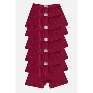 Arma Yıldız Erkek Çocuk Düz Pamuklu Likralı Bordo Boxer 6'lı Paket