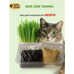 Nfs Agro Kedi Çimi Buğday Tohumu - 100 gr