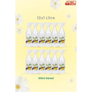 Temizleyici -12 x 1 Lt