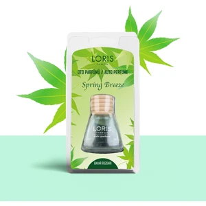 Bahar Rüzgarı Oto Kokusu 9 ml