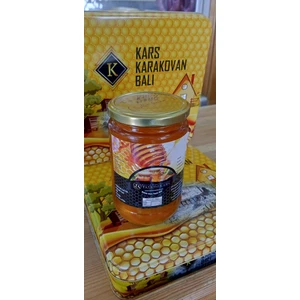 Taşkın Kars Özel Yüksek Rakım Süzme Balı