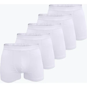 Erkek Beyaz 5 Li Pamuk Elastan Boxer 5M075