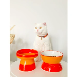 Seramik Kedi ve Köpek Mama Su Kabı Luna- Ayaklı Model 2'li(Turuncu)