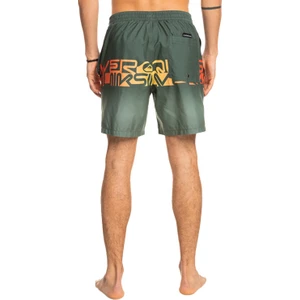 Erkek Volley Short Wordblock Volley 17 Yeşil