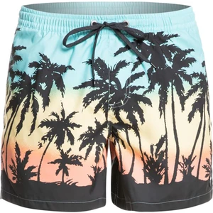 Erkek Volley Short Everyday Paradise Volley 15 Turkuaz