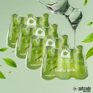 Tuzlu Erik Aromalı Maden Suyu 24 x 200 ml