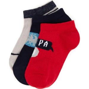 U.s. Polo Assn. Erkek Çocuk Kırmızı Çorap (Patik) 50311347-VR030