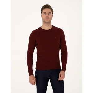 Pierre Cardin Erkek Bordo Slim Fit Bisiklet Yaka Basic Triko Kazak 50314192-VR014