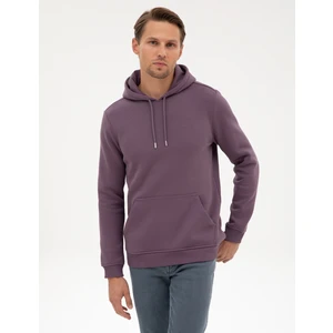 Pierre Cardin Erkek Mor 2 İplik Regular Fit Kapüşonlu Basic Sweatshirt 50314055-VR038