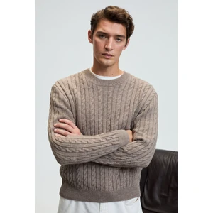 VINTLACE Erkek Yuvarlak Yaka Saç Örgü Desenli Regular Fit Triko Bej Kazak