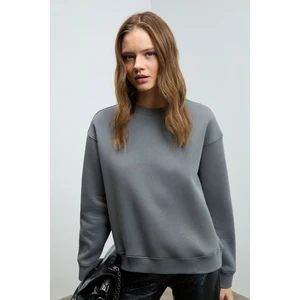 VANELTINA Kadın Organik Pamuklu Yumuşacık İçi Polarlı Yuvarlak yakalı Gri Sweatshirt