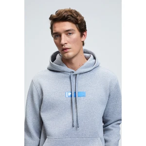 LELAND Erkek Kapüşonlu Kanguru Cepli Önü Baskılı Regular Fit Grimelanj Sweatshirt