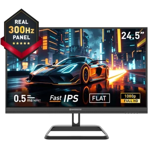 Gamebooster GB-25F320FF 24.5" 300Hz Fast IPS 0.5ms Mprt Fhd 2xhdmı+2xdp Rgb Flat Gaming Monitör