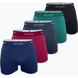 Erkek Karışık Renk 5 Li Pamuk Elastan Boxer 5M075