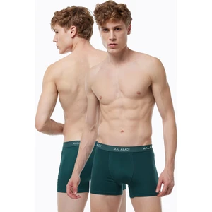 Erkek Yeşil 2 Li Paket Pamuk Elastan Boxer 075