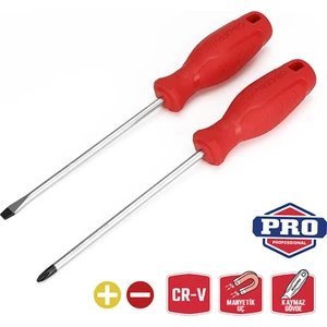 WP200500 2 Parça Yıldız/düz Cr-V Manyetik Profesyonel Tornavida Seti