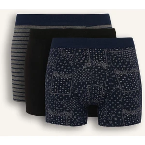 Regular Fit Şal Desenli 3'lü Boxer C3883AX25WN