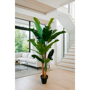 Maki Dekor Yapay Muz 3 Gövdeli 200 cm Dekoratif Modern Ağaç