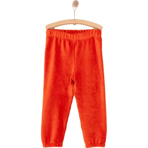 Hellobaby Erkek Bebek Basic Eşofman Alt Kadife Lastikli Paça Ekru