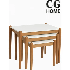 Cg Home Ada Zigon Sehpa Üçlü Lüx %100 Ağaç Lake Boyalı Sehpa