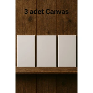 Tuval 35x50 (3 Lü) Arkadan Zımbalı Tüval seti