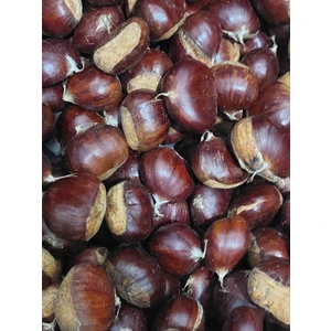 Kestane Yeni Mahsul 1 kg Duble