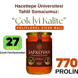 SAFKOVAN 850g Polifloral Süzme Çiçek Balı Yeni Sezon