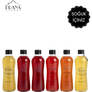 PRANA Kombucha Karışık Koli - 6*330ml - Fermente Probiyotik İçecek (Tarçın&Karanfil, Zencefil&Limon, Reyhan, Ahududu, Yaban Mersini, Aronya)