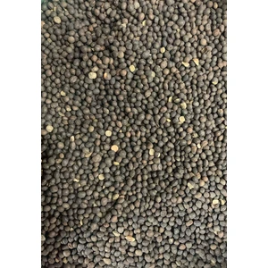 Gemlik Yem Yemlik Fiğ Tohumu – Kuş/tavuk/kanatlı Hayvan Yemi Için Yüksek Proteinli Tane