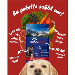 Adult Kuzu Etli Yetişkin Köpek Maması 10 Kg