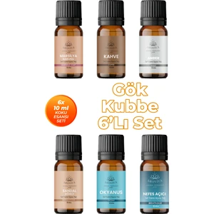 Gök Kubbe Oda Kokusu 6'lı Set- Doğal Esansiyel Uçucu Yağ, Difüzör Esansı, Buhurdanlık Yağı
