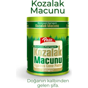 Paşa Kuruyemiş Kozalak Macunu 240 gr