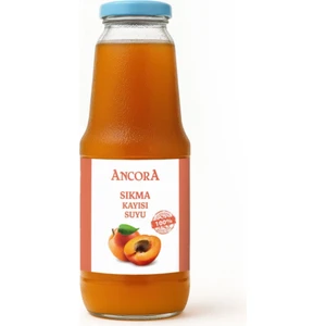 Sıkma Kayısı Suyu 1 Lt