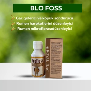 Blofoss  Şurup 100ML
