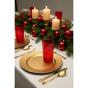 EW's Kitchenware Akrilik Kırmızı Uzun Bardak & Su Meşrubat Bardağı 750 ml ( Cam Değildir )