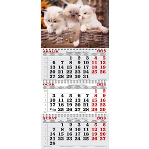 GENC DIJITAL BASKI 2026 Yılı Gemici Takvimi-Sepet Içindeki Yavru Kediler