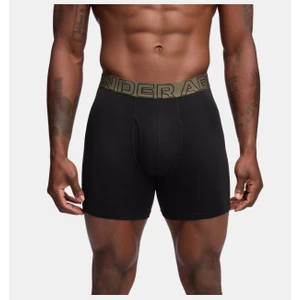 Under Armour Erkek UA Performance Cotton 6" 3'lü Boxer
