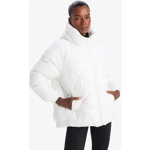 Su İtici Oversize Fit Geniş Kalıp Kapüşonlu Fermuarlı Cepli Şişme Mont E9260AX25AU