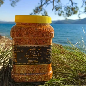 Günel Arıcılık Yaş Arı Poleni 1 kg