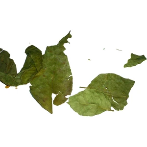 Aktar Depo Köri Yaprağı 100 gr