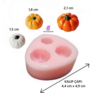 3 Boy Minyatür Kabak Silikon Kalıp K-856