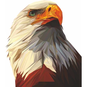 Sticker Dizayn Kartal Eagle Karakartal Beşiktaş Sticker Araba Oto Motosiklet Karavan Sticker 00280