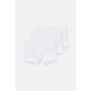 Erkek Pamuklu Lastik Detaylı 3'lü Paket Boxer D5210