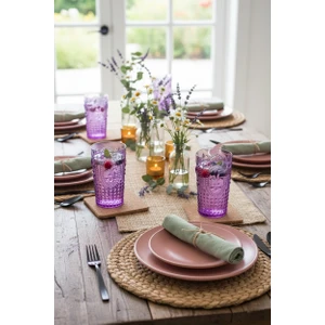 EW's Kitchenware Akrilik Mor 6 LI Uzun Bardak & Su Meşrubat Bardağı 750 ml ( Cam Değildir )