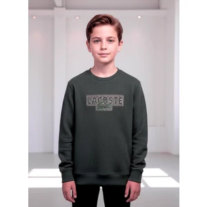 Kumrunun Dünyası Erkek Çocuk Sweatshirt 13-16