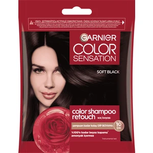 Color Shampoo Retouch Şampuan Kolaylığında Dip Boyası, Siyah 2.0