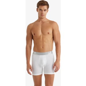 Erkek Modal Elastan Boxer Silver 9303 - Beyaz