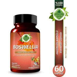 Gökçek Şifa Akgünlük Kapsül (BOSWELLİA CAPSULE)