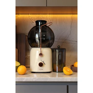 Katı Meyve Sıkacağı Hız Ayarlı 1,2l 800W FR-KM01 Essenza